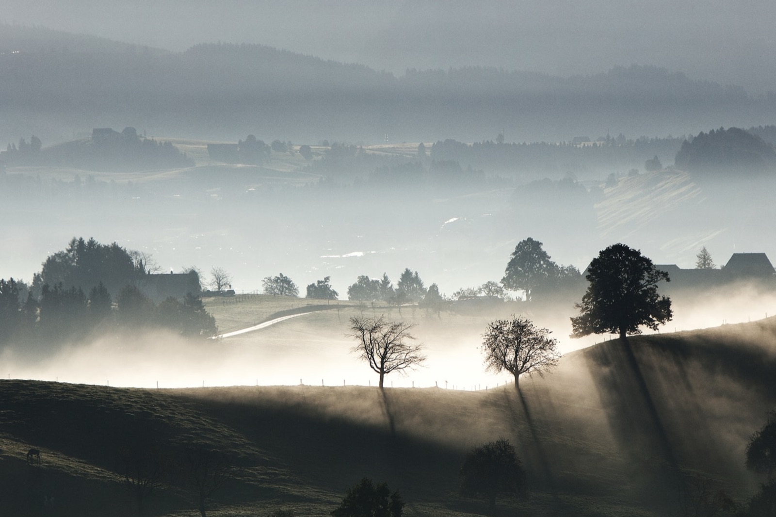 Misty landscape